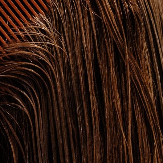 Total Hair Transformation Package at The Beaute Haus in Charlotte, NC